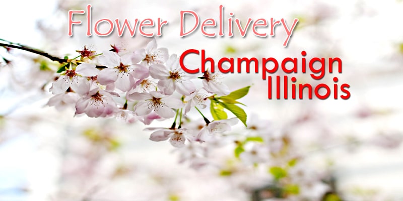 Best Flower Delivery Champaign Illinois
