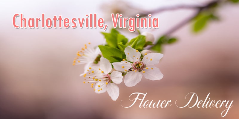 Best Flower Delivery Charlottesville Virginia