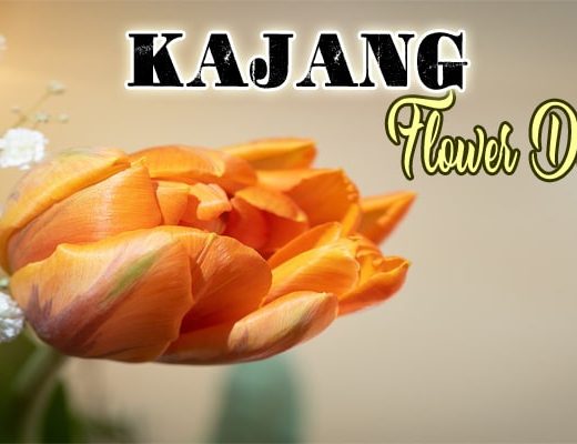 Best Flower Delivery Kajang