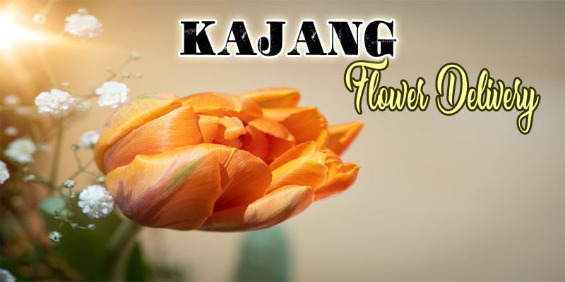 Best Flower Delivery Kajang