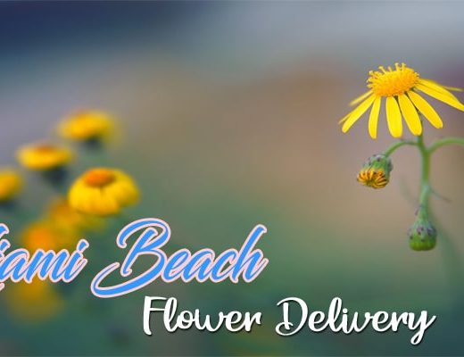 The 13 Best Options for Flower Delivery in Miami Beach