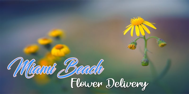 Best Flower Delivery Miami Beach
