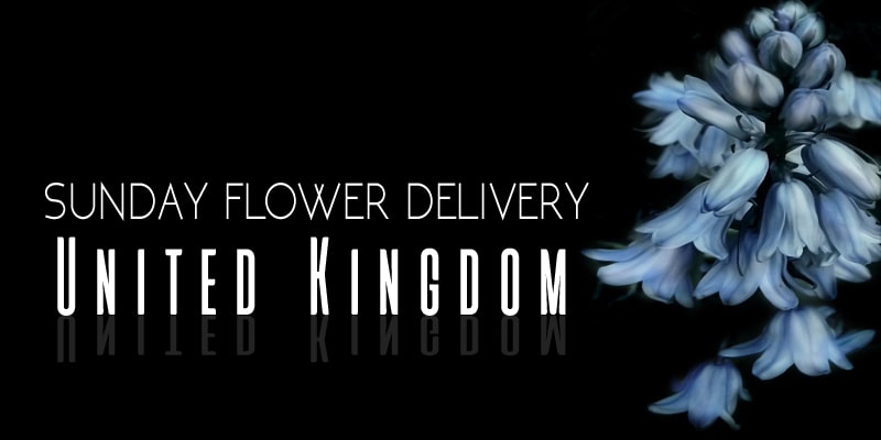 Best Sunday Flower Delivery UK