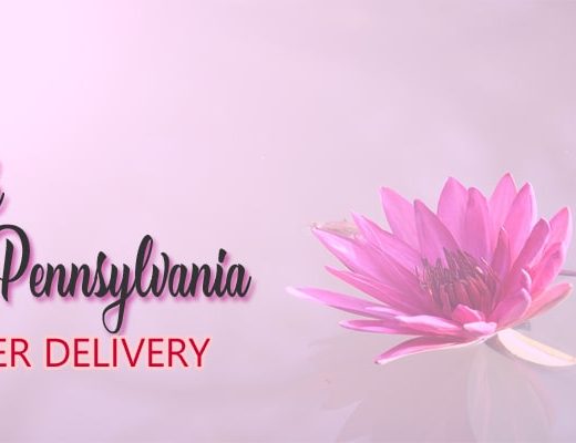 The 6 Best Options for Flower Delivery in York, Pennsylvania