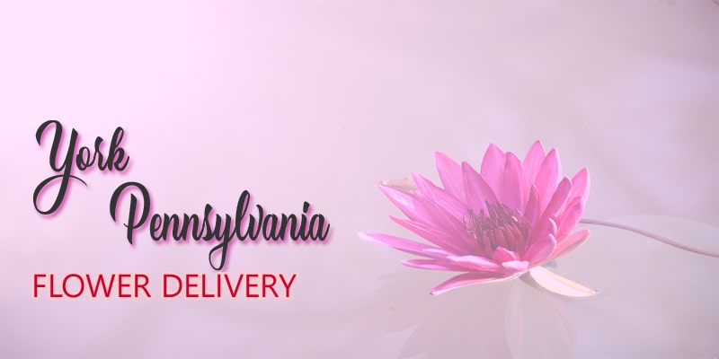 Best Flower Delivery York Pennsylvania