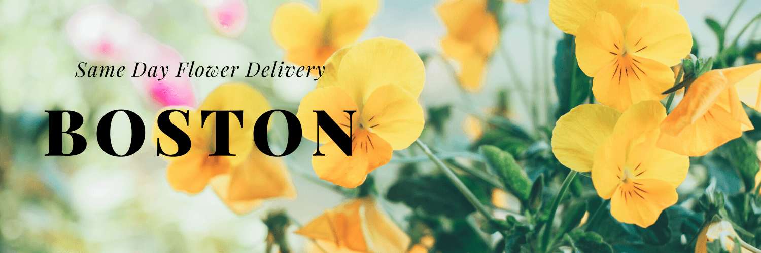 Best Options for Same Day Flower Delivery in Boston