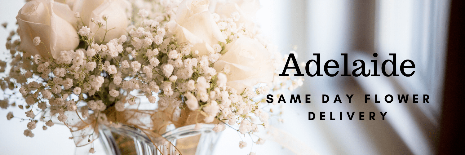 Best Options for Same Day Flower Delivery in Adelaide