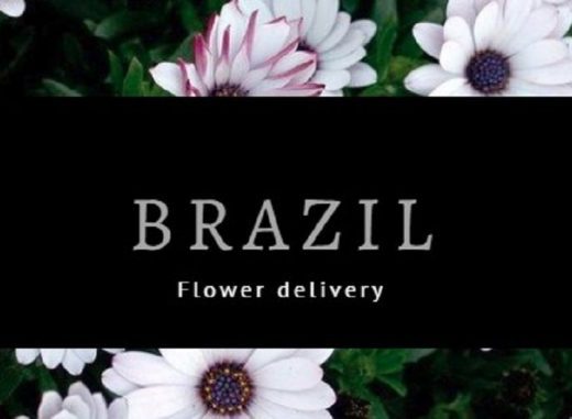 Floriculturas Entrega Brasil