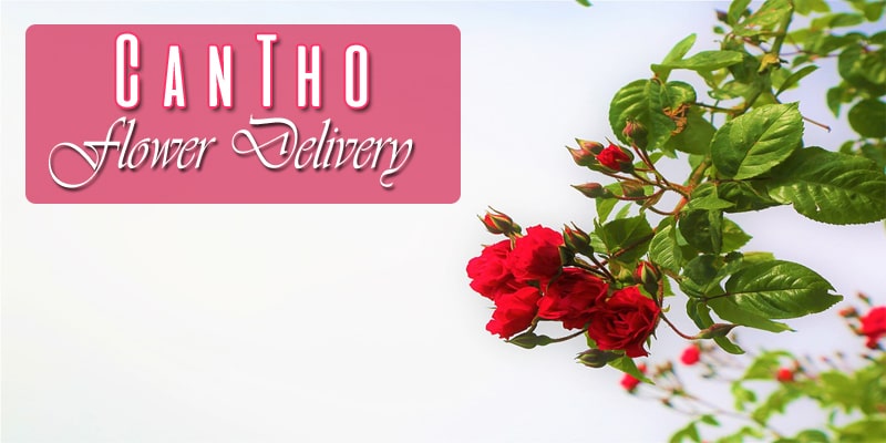 Best Flower Delivery Can Tho