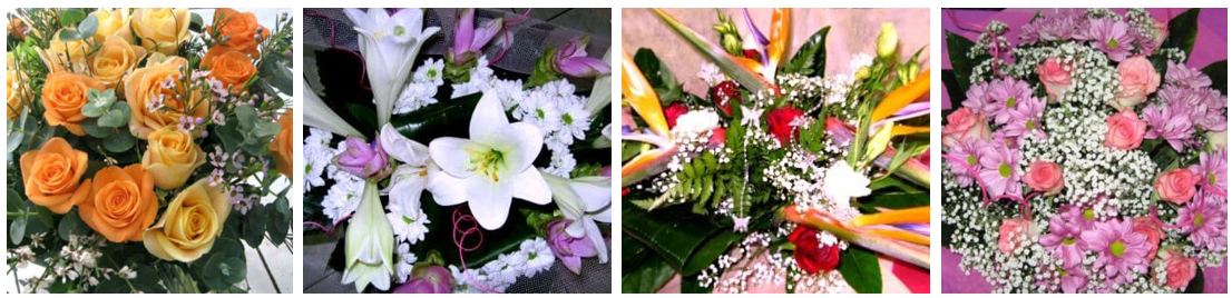 Israel Harmony Flowers