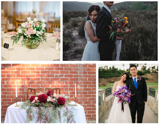 Webster Floral Co