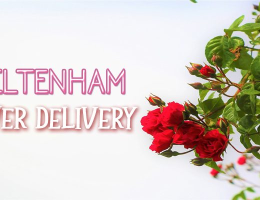 The 4 Best Options for Flower Delivery in Cheltenham