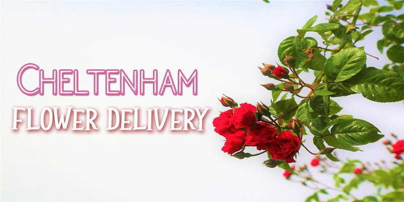 Best Flower Delivery Cheltenham