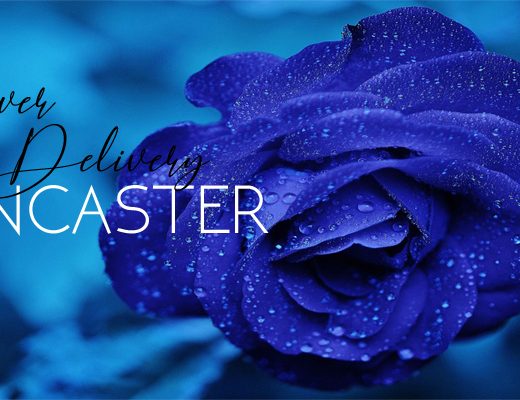 The 8 Best Options for Flower Delivery in Doncaster