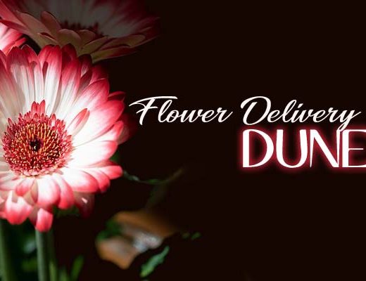 The 9 Best Options for Flower Delivery in Dunedin