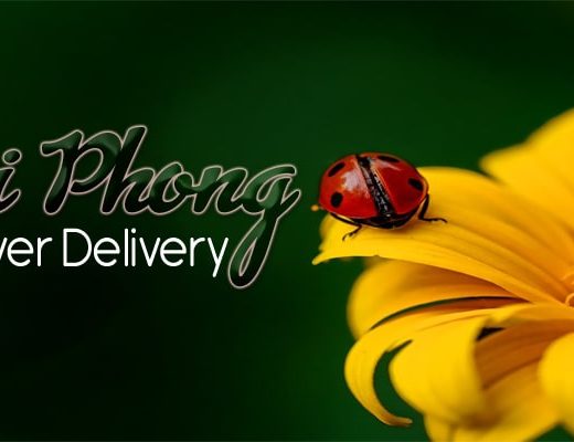 The 4 Best Options for Flower Delivery in Hai Phong