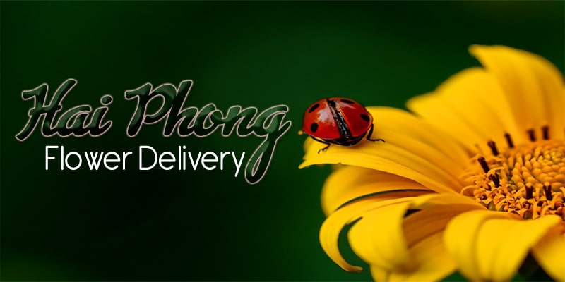 Best Sunday Flower Delivery Hai Phong