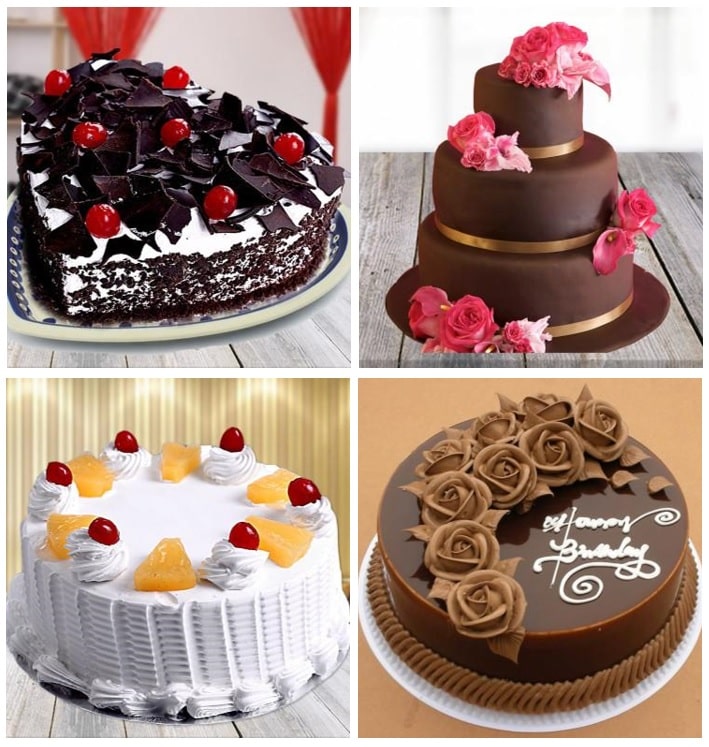 Hobnob Chocolate Fudge Cake Price