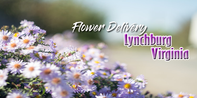 Best Flower Delivery Lynchburg Va