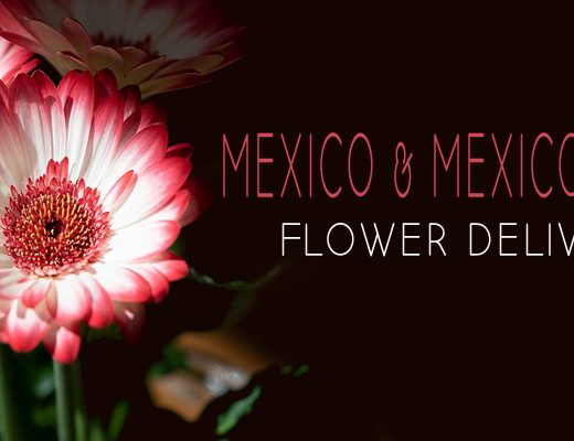 Best Flower Delivery Mexico & Mexico City