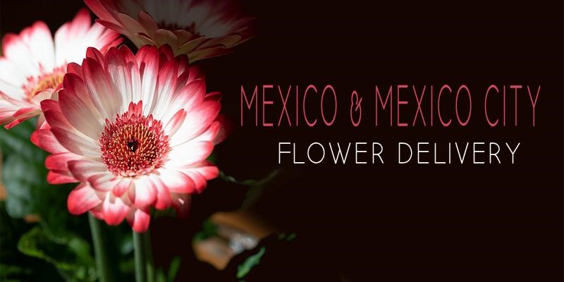 Mejores Enviar Flores Mexico