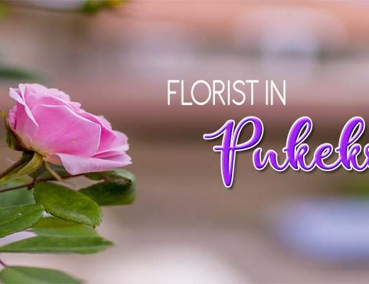 The 7 Best Options for Florists in Pukekohe