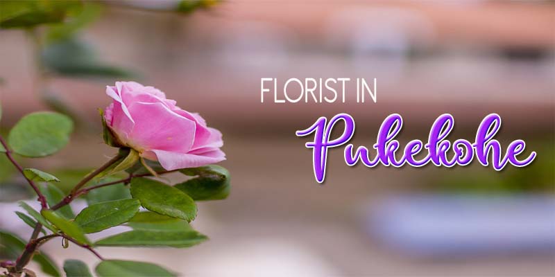 Best Florists Pukekohe