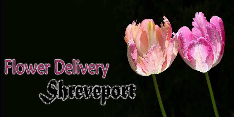 Best Flower Delivery Shreveport