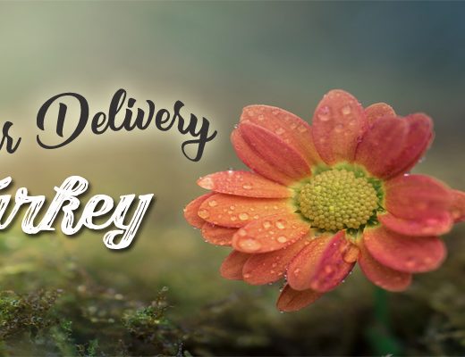 The 8 Best Options for Flower Delivery in Turkey