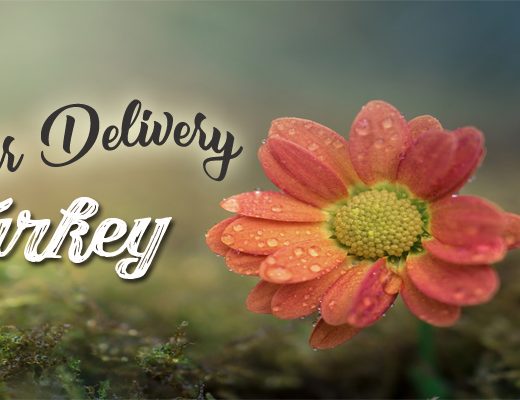 The 8 Best Options for Flower Delivery in Turkey