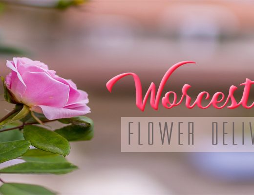 11 Best Flower Delivery in Worcester, MA