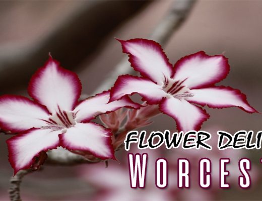 The 9 Best Options for Flower Delivery in Worcester, UK