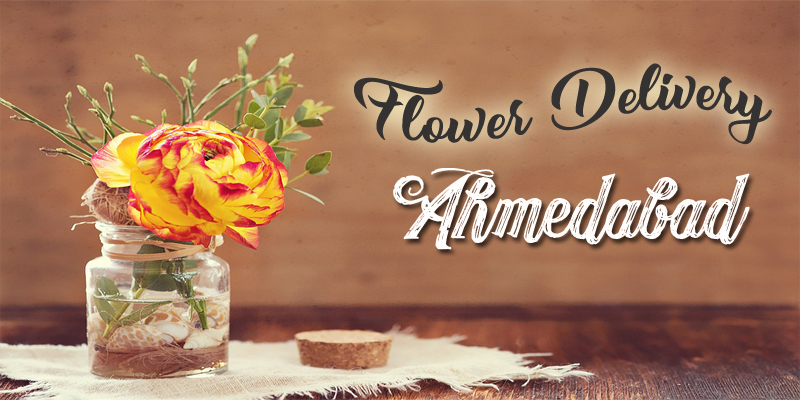 Best Flower Delivery Ahmedabad