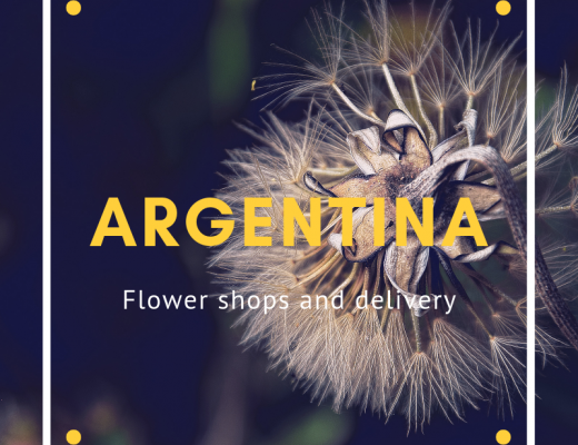 The 12 Best Options for Flowers in Argentina