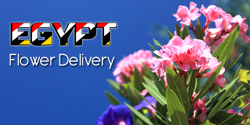Best Flower Delivery Egypt
