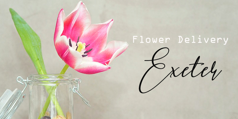 Best Flower Delivery Exeter