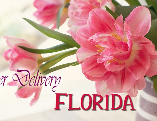 The 8 Best Options for Flower Delivery in Hollywood Florida