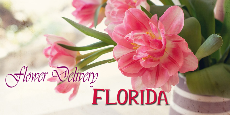 Best Delivery Hollywood FL