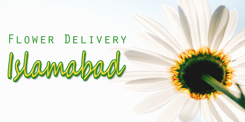 Best Flower Delivery Islamabad