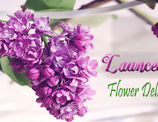 The 10 Best Options for Flower Delivery in Launceston