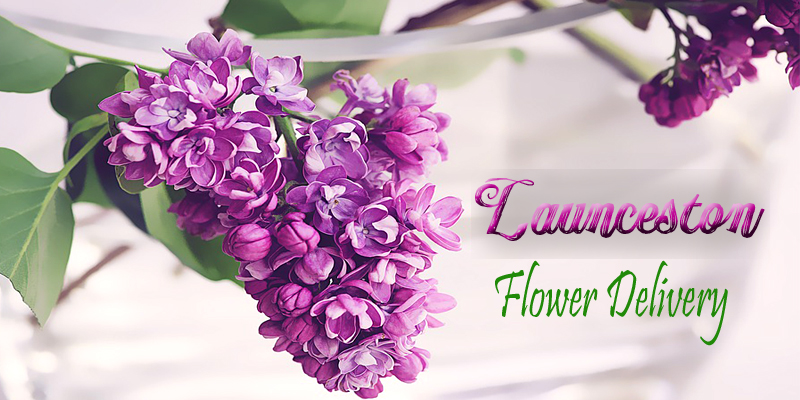 Best Flower Delivery Launceston