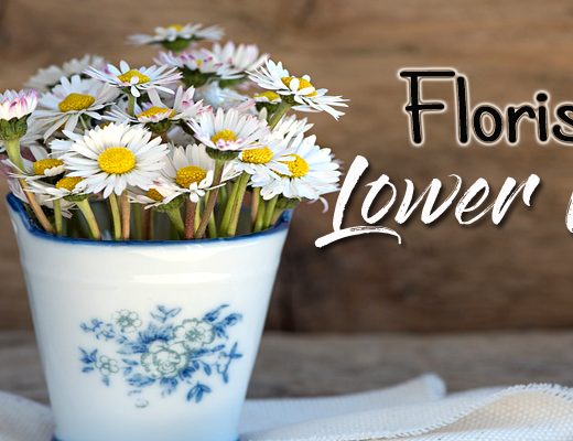 The 9 Best Options for Florists in Lower Hutt