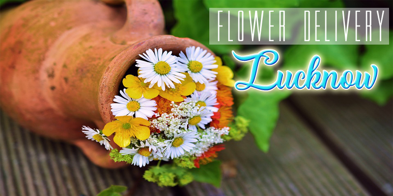 Best Flower Delivery Lucknow