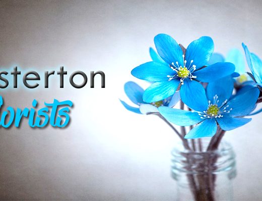 The 6 Best Options for Florists in Masterton
