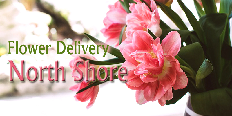 Best Flower Deliveries North Shore New Zealand