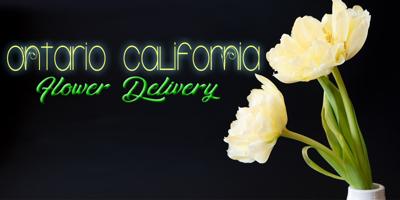 Best Flower Delivery Ontario Calufornia