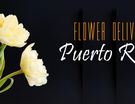 The 7 Best Options for Flower Delivery in Puerto Rico