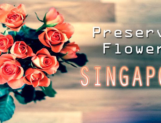 Best Preserved Flowers Singapore