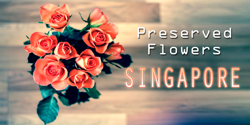 Best Preserved Flowers Singapore