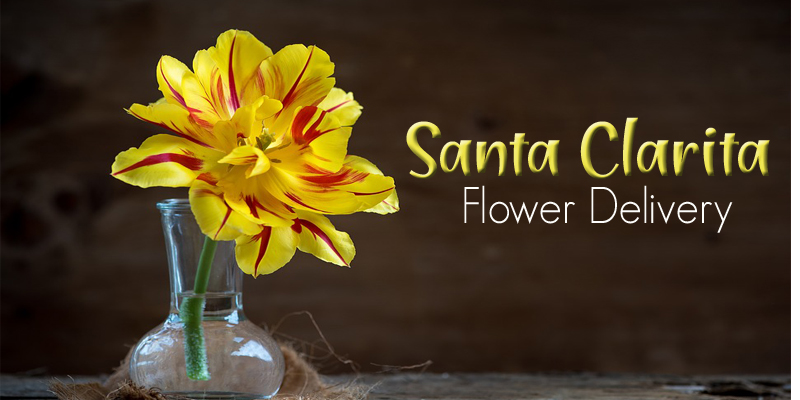 Best Flower Delivery Santa Clarita